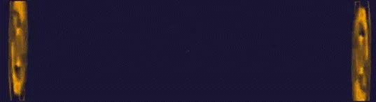 DEXWIN88
